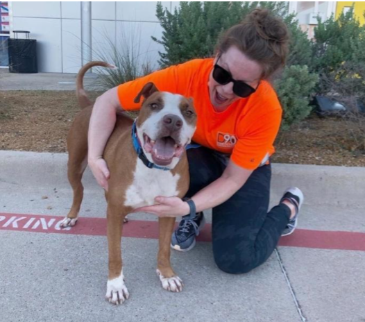 Photo Courtesy of the Dallas Animal Services/Instagram