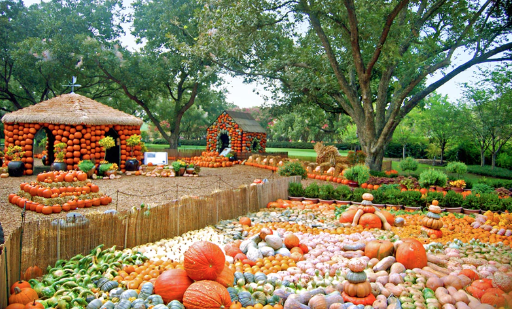 Photo Courtesy of The Dallas Arboretum and Botanical Garden
