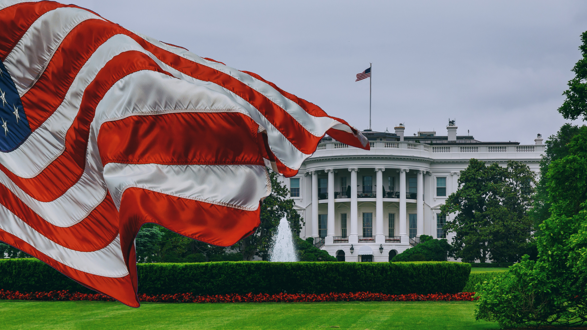 Stock Footage: The White House