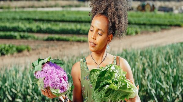 Black farmers