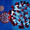 Virus