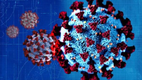 Virus