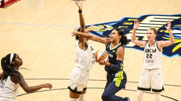 TEAM WNBA