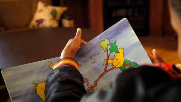 Jonathan's Place reads a book