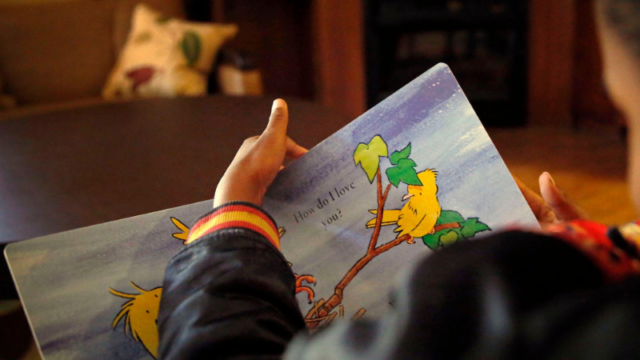 Jonathan's Place reads a book 