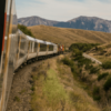 The Wrong Train