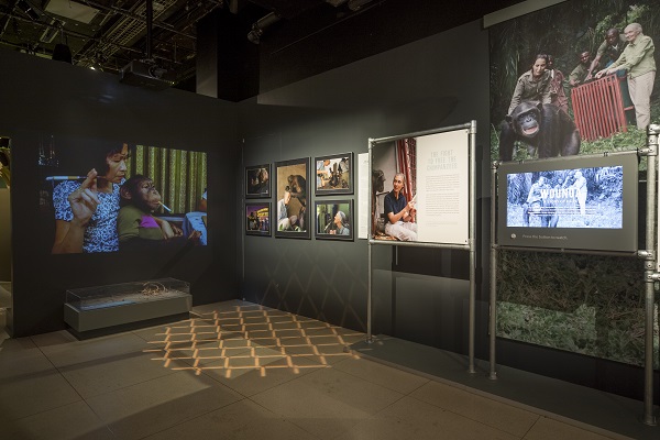 Becoming Jane exhibit at the National Geographic HQ in Washington, DC. 