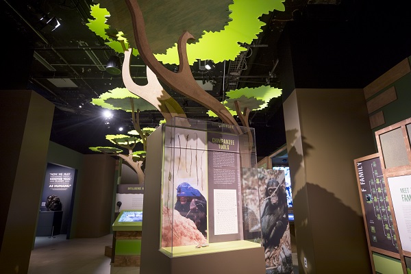 Becoming Jane exhibit at the National Geographic HQ in Washington, DC.