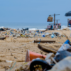 Plastic Free Life