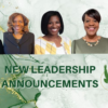 Leadership Appointments 8.22.22