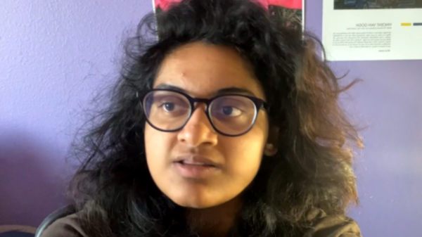 Maya Palavali