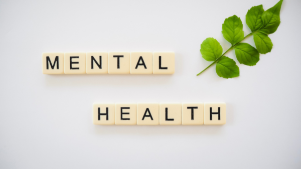 Top 10 Ways to Boost your Mental Top 10 Ways to Boost your Mental Health