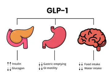 GLP