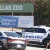 A pair of Dallas police vehicles
