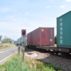 Freight Train through Turves