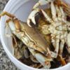 Crab