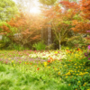 Times and Seasons