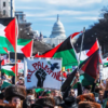 Demonstrators