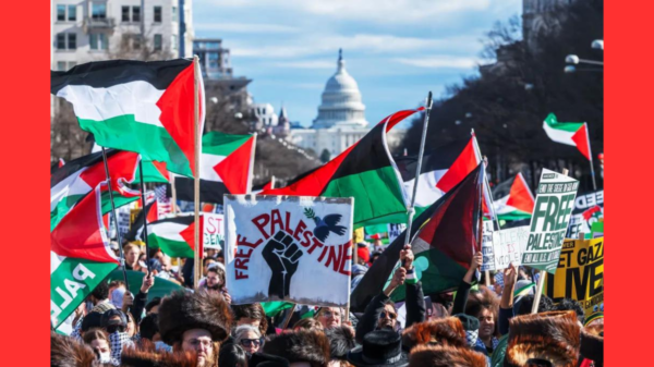 Demonstrators