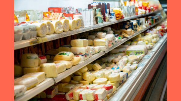 Delicious variety of cheese