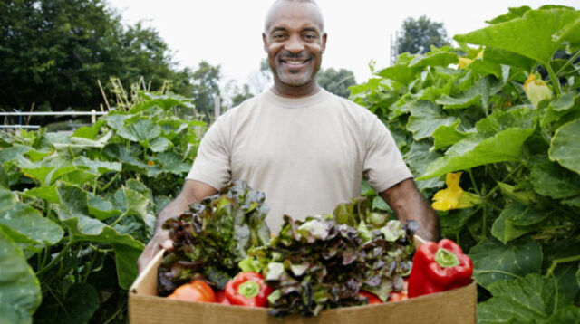 Man with Vegetable