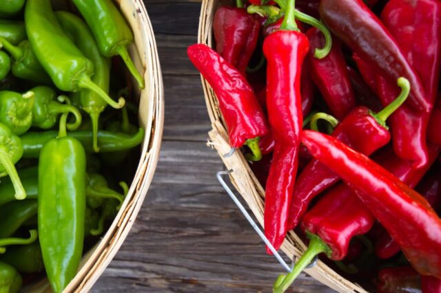 Bell and Chilli Peppers